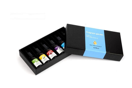 WATER SOLUBLE ESSENTIAL OIL 10ML MIX TOP 6 SET