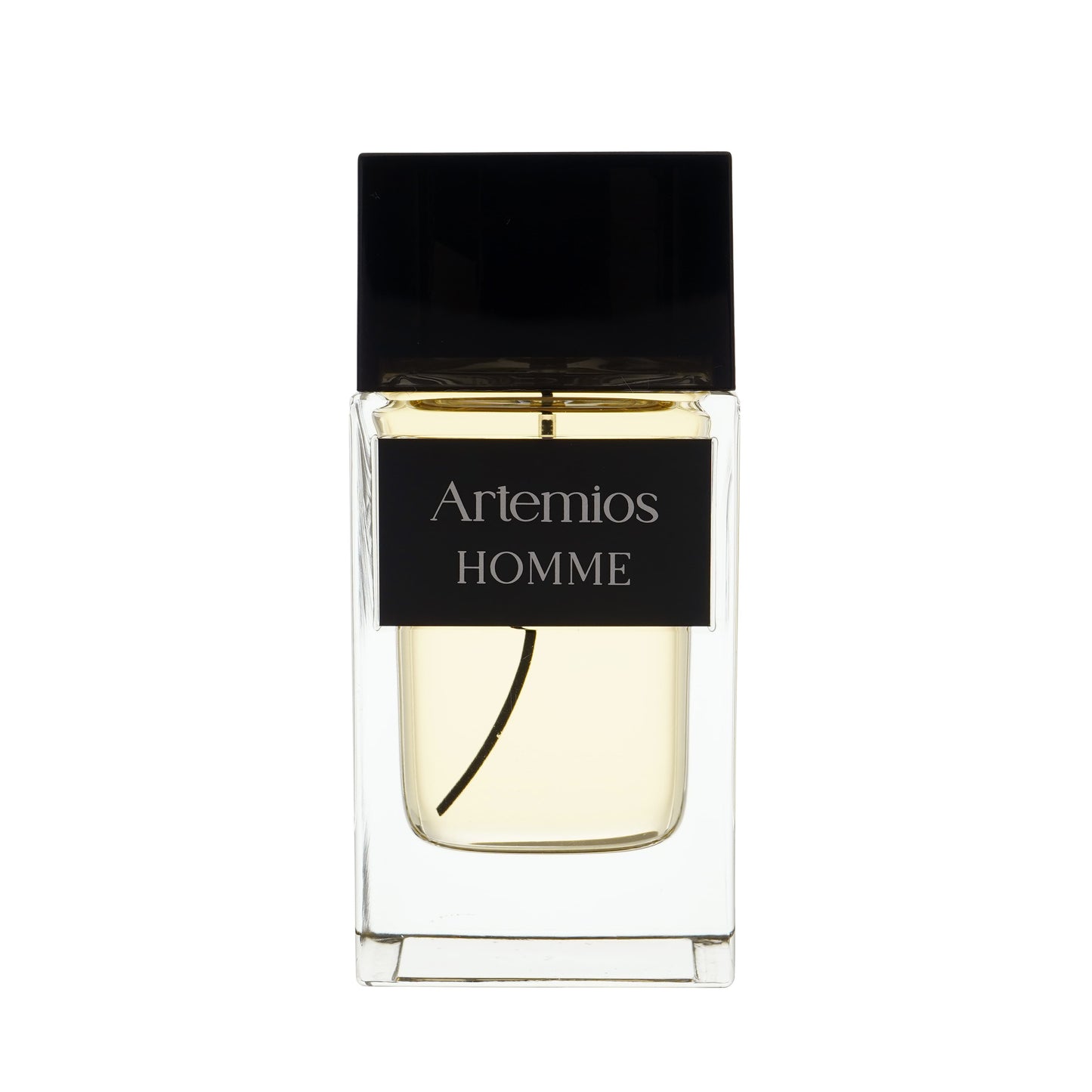 ARTEMIOS HOMME EDP 100ML